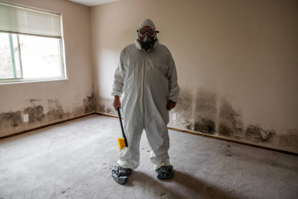 Best Commercial Mold Remediation in Bystrom, CA